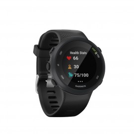 Спортивные часы Garmin Forerunner 45 GPS L Black