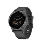 Спортивные часы Garmin Vivoactive 4S Black / Slate 010-02172-14010-02172