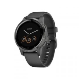 Спортивные часы Garmin Vivoactive 4S Black / Slate 010-02172-14010-02172