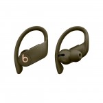 Спортивные наушники Bluetooth Beats Powerbeats Pro Moss (MV712EE/A)