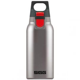 Термос Sigg H&C One 300мл Brushed (8581.70) 