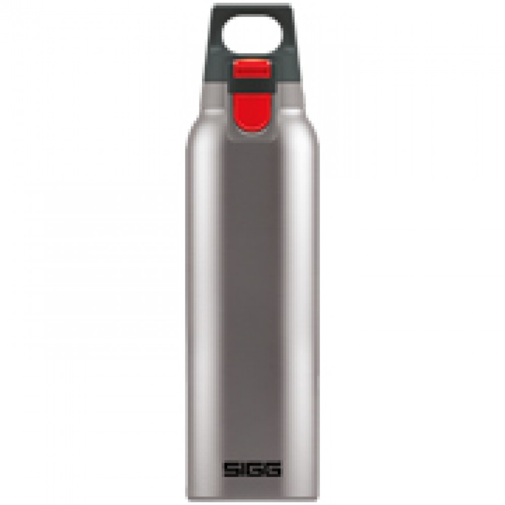 Термос Sigg H&C One 500мл Brushed (8581.80)