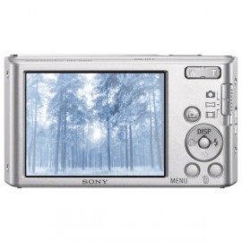 Фотоаппарат компактный Sony Cyber-shot DSC-W830 Silver