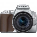 Фотоаппарат зеркальный Canon EOS 250D EF-S 18-55 IS STM Kit Silver