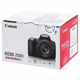 Фотоаппарат зеркальный Canon EOS 250D EF-S 18-55 IS STM Kit Silver