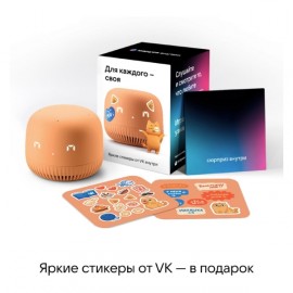 Умная колонка VK Нео VKSP11OR Orange