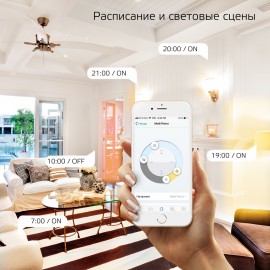 Умный свет Gauss Smart Home DIM E14 C37 5W 2700К