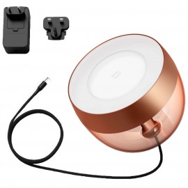 Умный свет Philips Hue Iris Copper (929002376801)