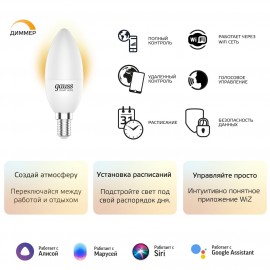 Умный свет Gauss Smart Home DIM E14 C37 5W 2700К