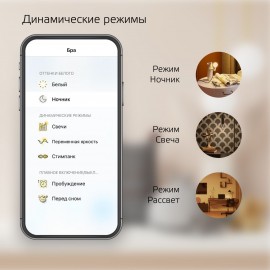 Умный свет Gauss Smart Home DIM E14 C37 5W 2700К