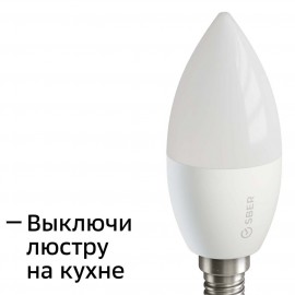 Умный свет Sber C37 с голос.управ. от СБЕР, LED E14 (SBDV-00020) 