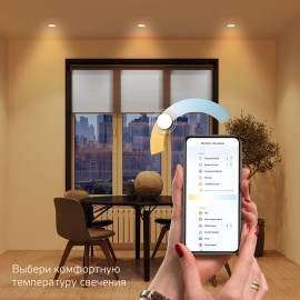 Светильник Gauss Smart Home DIM+CCT 16W