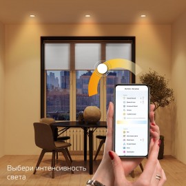 Светильник Gauss Smart Home DIM 16W