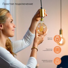 Умный свет Gauss Smart Home DIM+CCT E27 G95 Golden 6,5W 2000-5500К