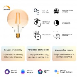 Умный свет Gauss Smart Home DIM+CCT E27 G95 Golden 6,5W 2000-5500К