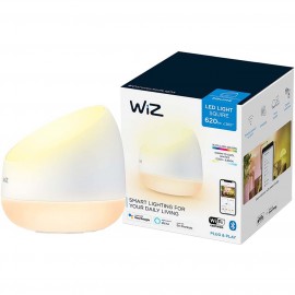 Умный свет WiZ Wi-Fi Squire BLE Portable RGB (929002690301)