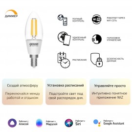 Умный свет Gauss Smart Home DIM E14 C35 4,5W