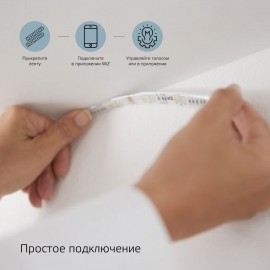 Лента Gauss Smart Home RGBW CCT+DIM 5м (5020122)