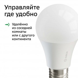 Умный свет Sber A60 с голос.управ. от СБЕР, LED E27 (SBDV-00019)