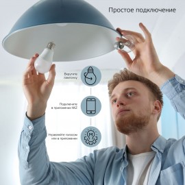 Умный свет Gauss Smart Home DIM E27 A60 10W 2700К