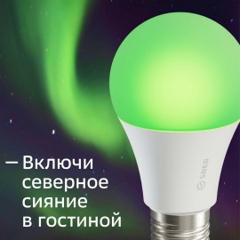 Умный свет Sber A60 с голос.управ. от СБЕР, LED E27 (SBDV-00019)