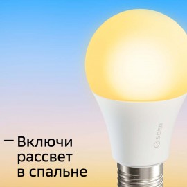 Умный свет Sber A60 с голос.управ. от СБЕР, LED E27 (SBDV-00019)