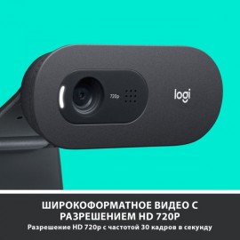 Web-камера Logitech C505e HD